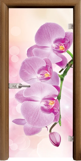 Стъклена интериорна вратa Print G 13-3 Pink, каса Златен дъб