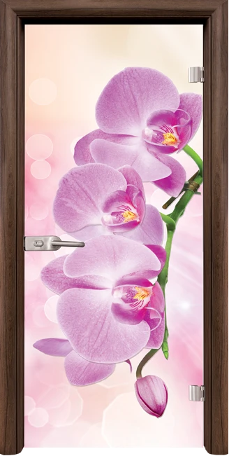 Стъклена интериорна вратa Print G 13-3 Pink, каса Орех
