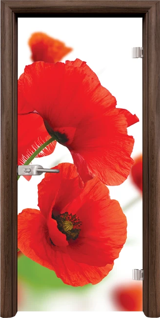 Стъклена интериорна врата модел Print G 13-8, каса Орех