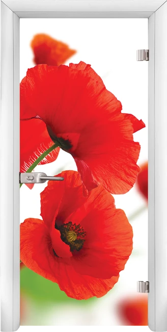 Стъклена интериорна врата модел Print G 13-8, каса Бяла